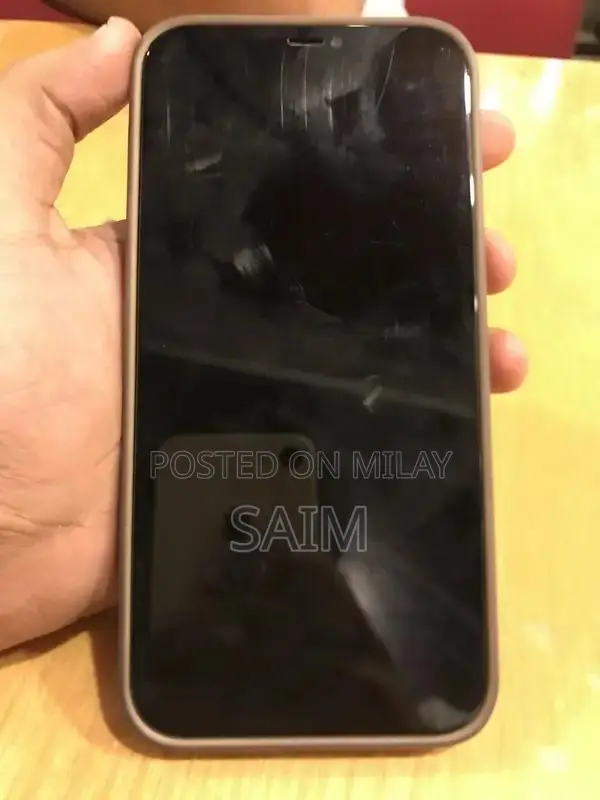 Apple iPhone 12 Pro Max Unlocked Smartphone