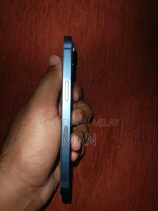 Blue iPhone 13 Waterproof Smartphone with High Battery Health