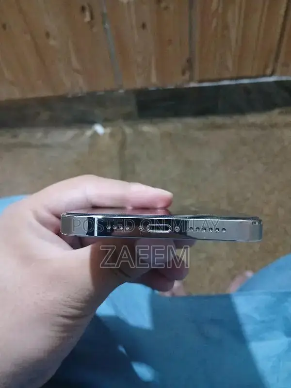 Apple iPhone 13 Pro Max Fully Unlocked Smartphone