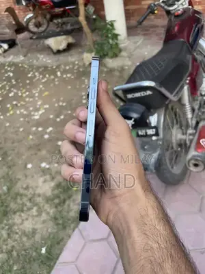 Pro Max 256GB Smartphone with High Battery Health