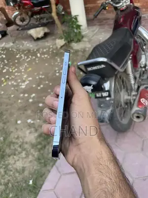 Pro Max 256GB Smartphone with High Battery Health