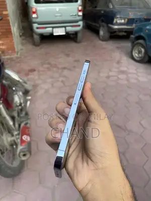 Pro Max 256GB Smartphone with High Battery Health