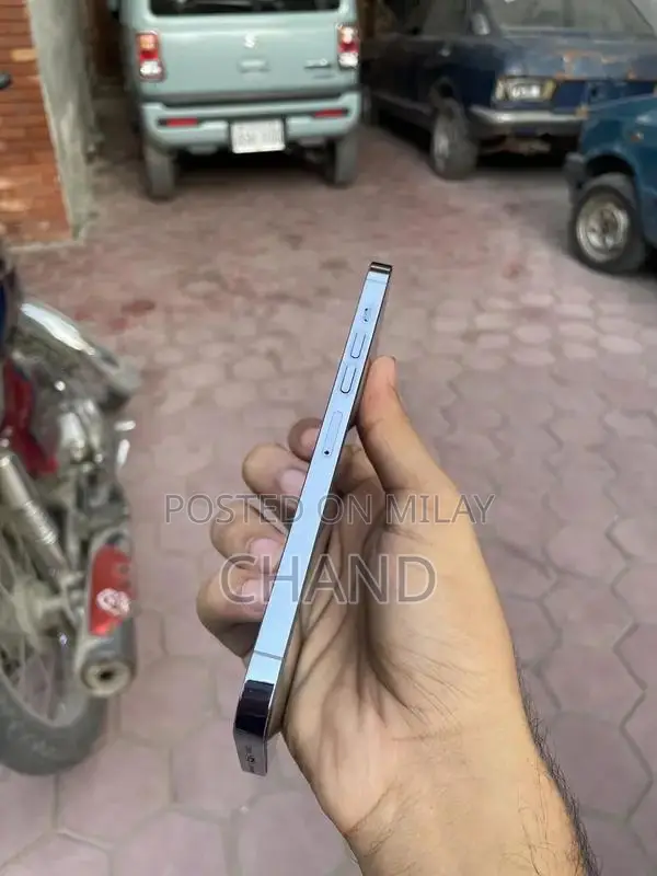 Pro Max 256GB Smartphone with High Battery Health