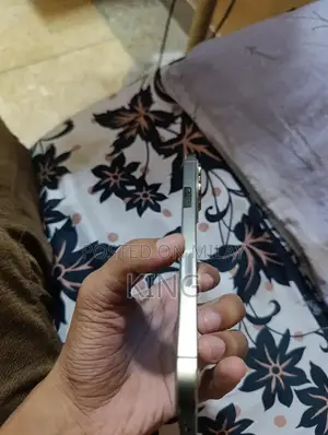 Apple iPhone 13 Pro Max Smartphone Non-PTA Variant