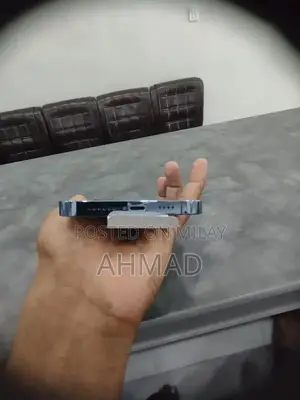 High-Performance Smartphone with Water Resistance