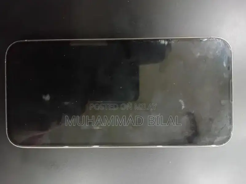 Pro Max Smartphone 256GB Excellent Condition