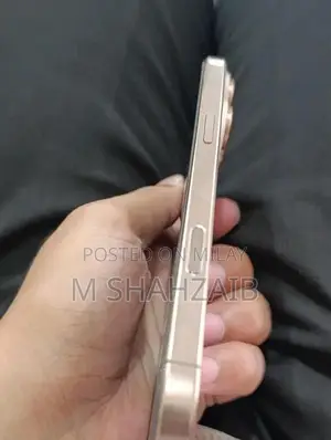 Pro Max Dual SIM Smartphone - 256GB Desert Titanium