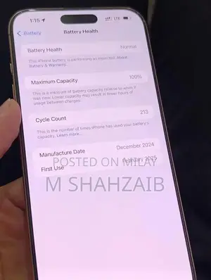 Pro Max Dual SIM Smartphone - 256GB Desert Titanium