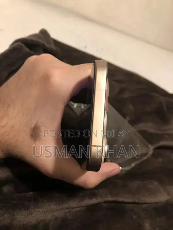 Premium Smartphone 256GB Unlocked Top Condition