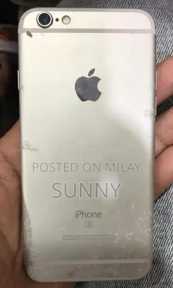 Apple iPhone 6s 64GB Smartphone with Panel Change