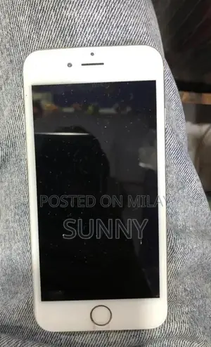 Apple iPhone 6s 64GB Smartphone with Panel Change