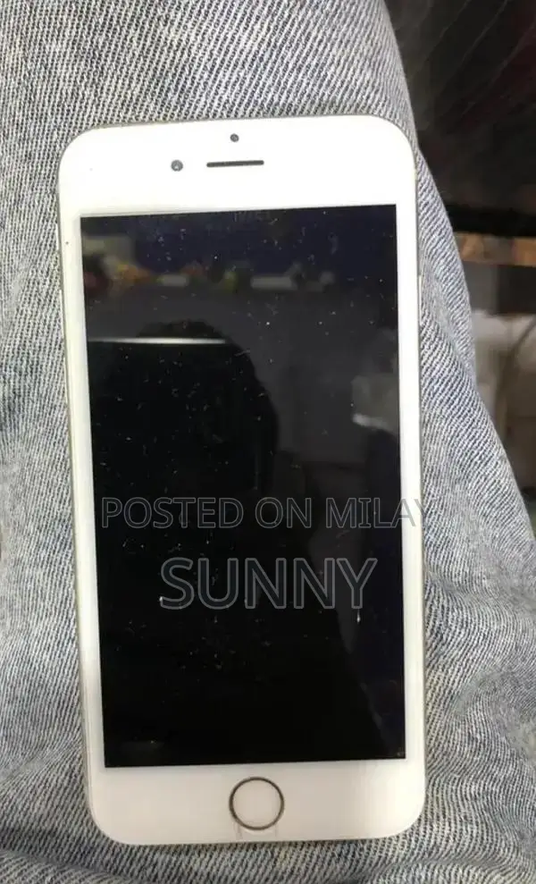 Apple iPhone 6s 64GB Smartphone with Panel Change