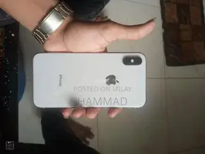 Apple Smartphone X with Possible Panel Issue