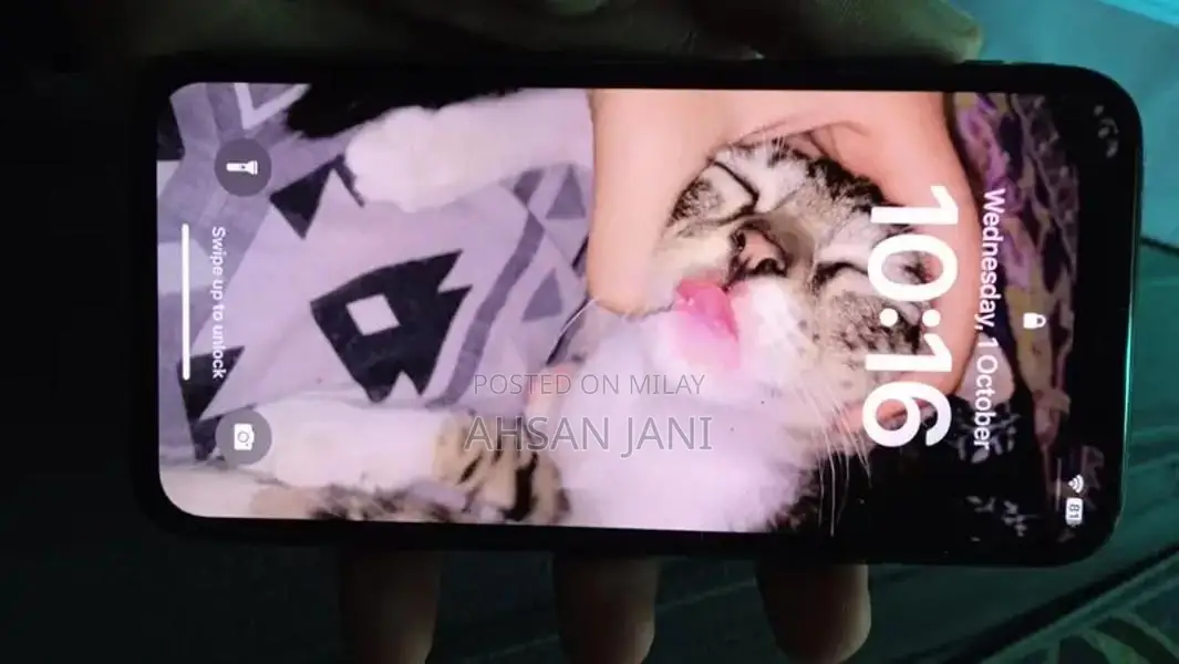 Pre-Owned iPhone X 64GB PTA Approved Smartphone