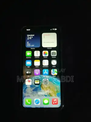 Apple iPhone XS Max Smartphone - High Storage Model