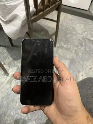 Apple iPhone XS 64GB Dual Approved Smartphone