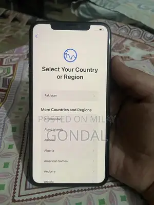 Apple iPhone XS Max 64GB Dual SIM Smartphone