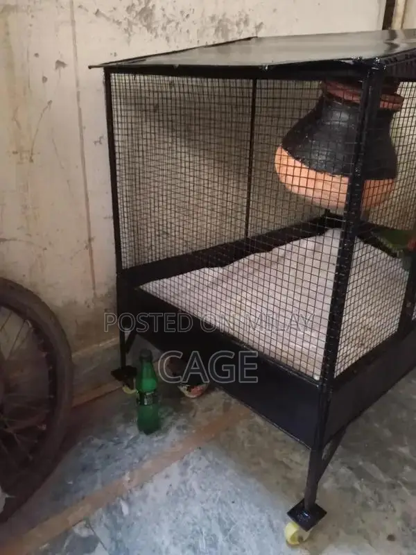 Iron Muzbot Bird Cage for Love Birds