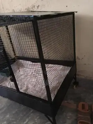 Iron Muzbot Bird Cage for Love Birds