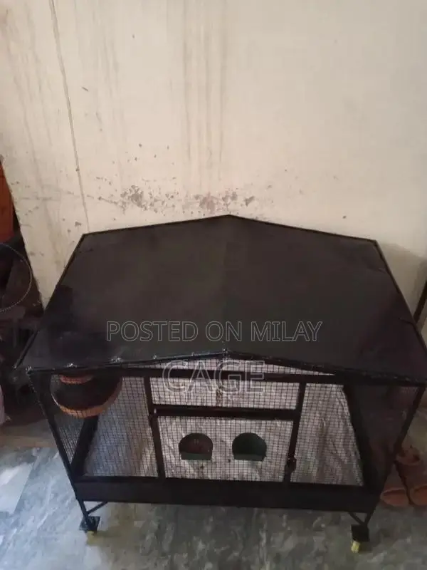 Iron Muzbot Bird Cage for Love Birds