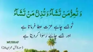 Photo - Used Laptop with 8GB RAM and 500GB Storage