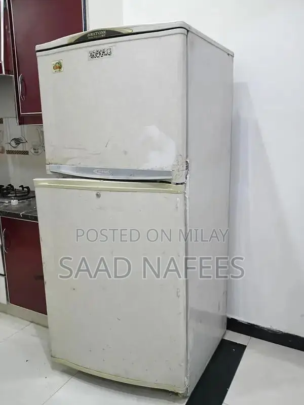 Large Capacity Refrigerator with Powerful Cooling