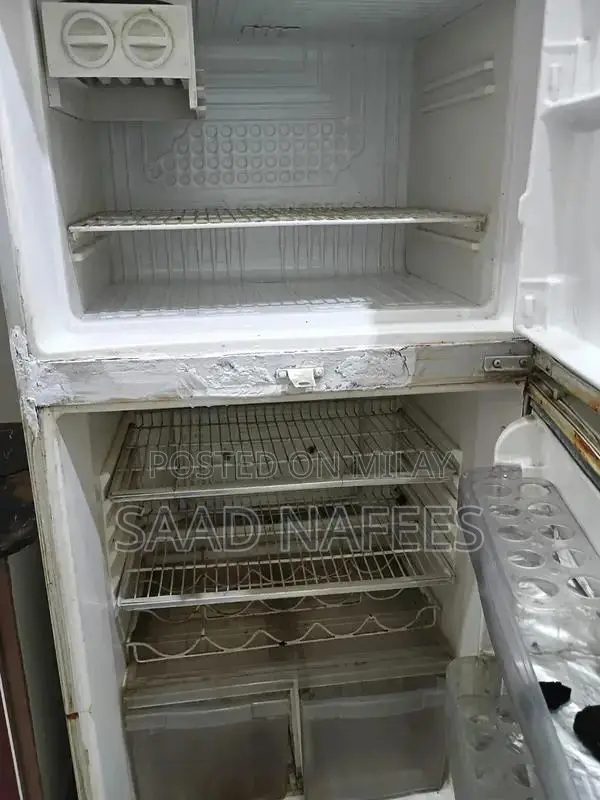 Large Capacity Refrigerator with Powerful Cooling