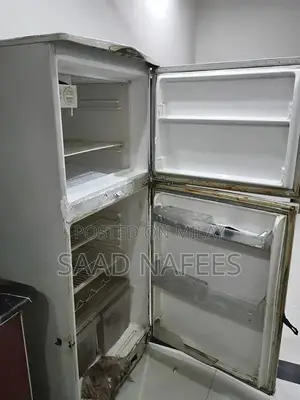 Large Capacity Refrigerator with Powerful Cooling