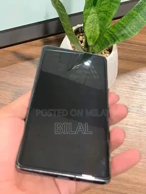 High-Performance Smartphone with Massive Storage