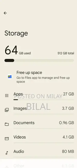 High-Performance Smartphone with Massive Storage