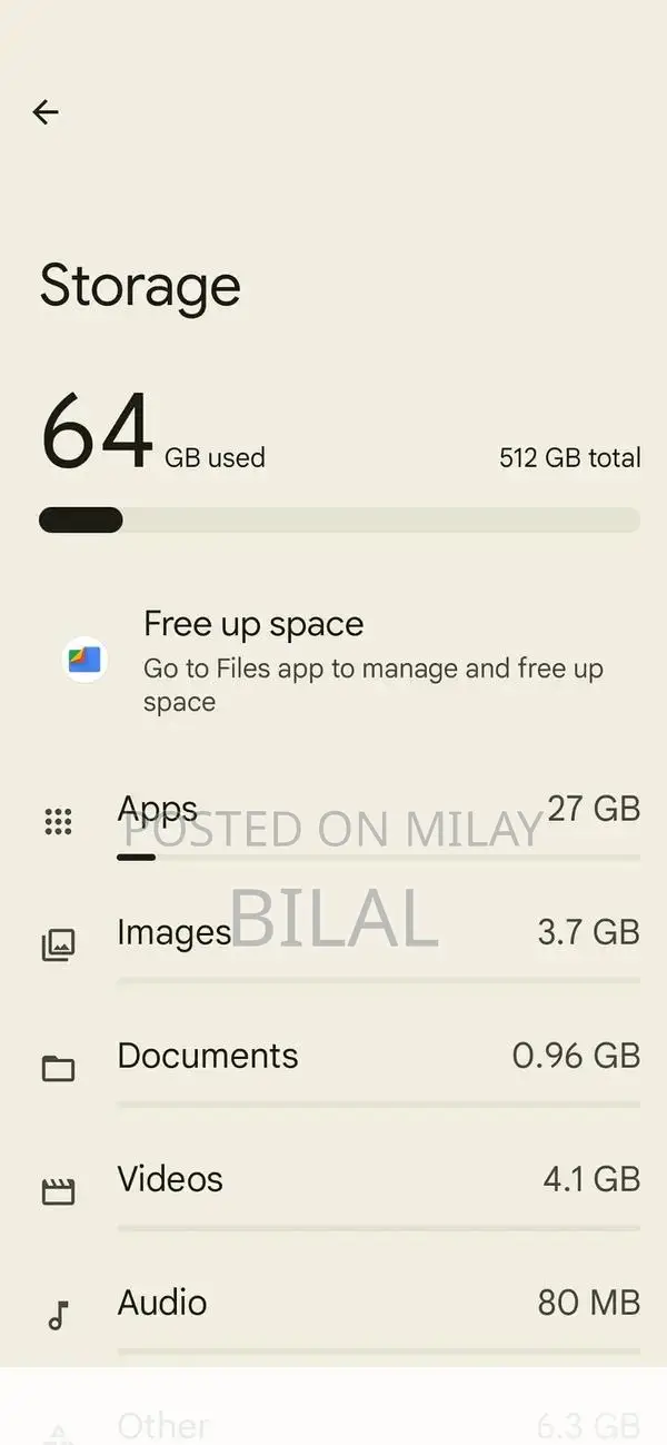 High-Performance Smartphone with Massive Storage