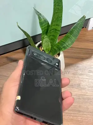 High-Performance Smartphone with Massive Storage