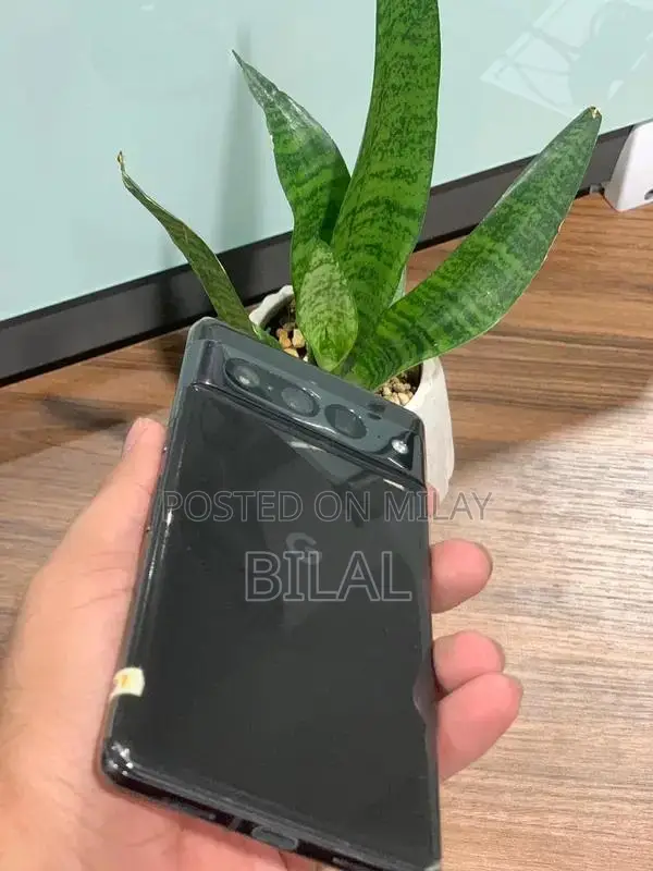 High-Performance Smartphone with Massive Storage