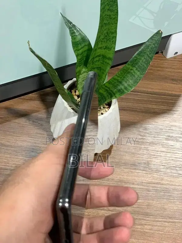 High-Performance Smartphone with Massive Storage