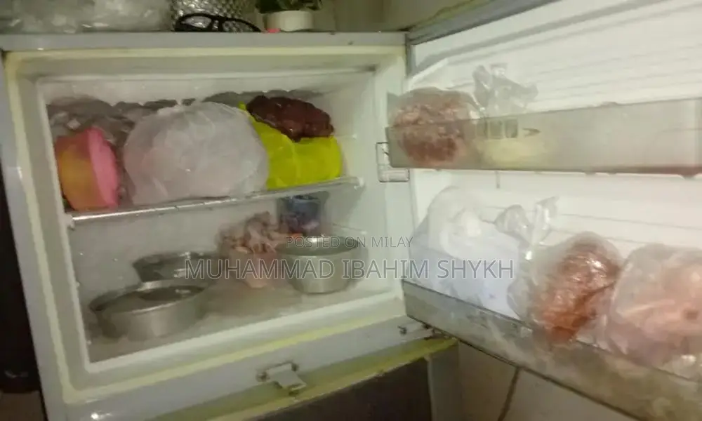 Dawlance Compact Refrigerator - Efficient Family Kitchen Appliance