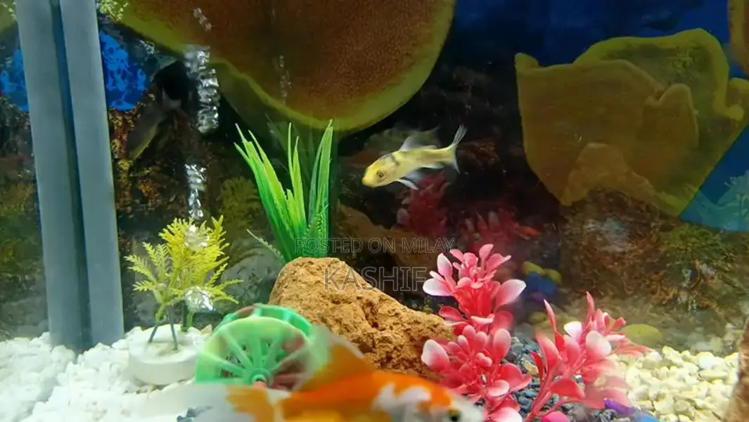 Complete Bedroom Furniture Set - New Bed Collection