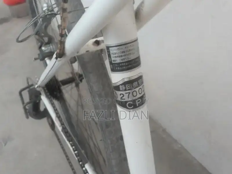 8-Speed Japanese Bicycle for Urban and Recreational Cycling