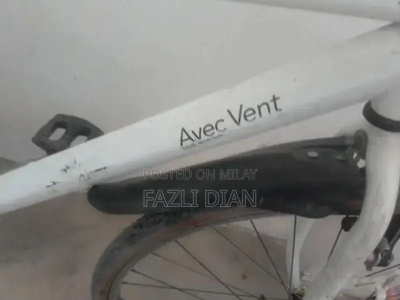 8-Speed Japanese Bicycle for Urban and Recreational Cycling