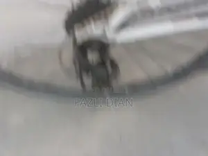 8-Speed Japanese Bicycle for Urban and Recreational Cycling