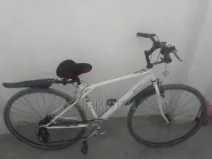 8-Speed Japanese Bicycle for Urban and Recreational Cycling