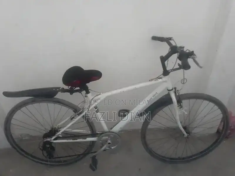 8-Speed Japanese Bicycle for Urban and Recreational Cycling