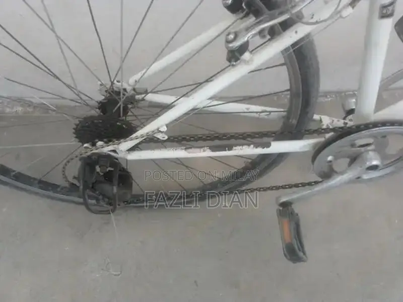 8-Speed Japanese Bicycle for Urban and Recreational Cycling