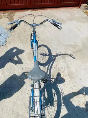 Photo - Japani Cycle Full Size Bicycle