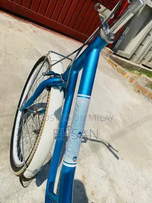 Japani Cycle Full Size Bicycle