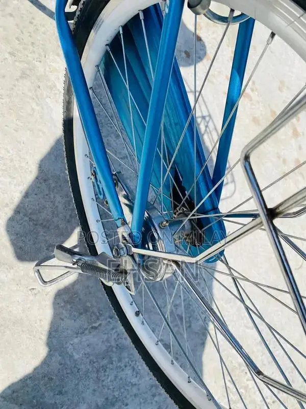 Japani Cycle Full Size Bicycle