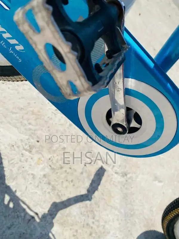 Japani Cycle Full Size Bicycle