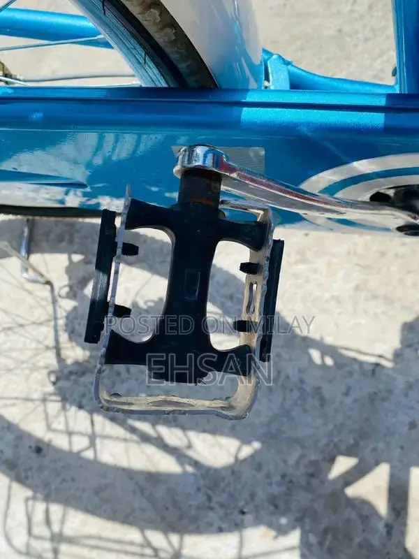 Japani Cycle Full Size Bicycle