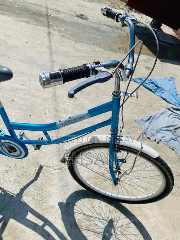 Japani Cycle Full Size Bicycle