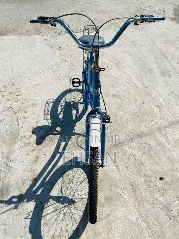 Japani Cycle Full Size Bicycle