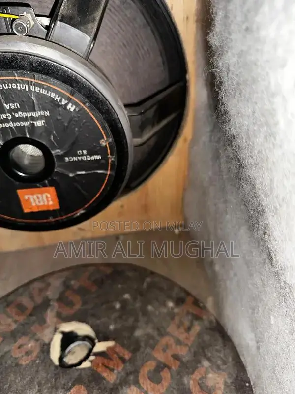 JBL High-Power Speaker System with Dual Wattage Output